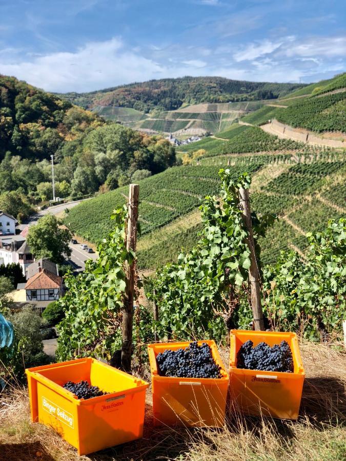 Ferienwohnung Ideenreich Bad Neuenahr-Ahrweiler Luaran gambar